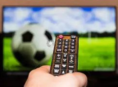 宝威体育,资讯,宝威体育官网,宝威体育官网,宝威体育直播,体育赛事直播,足球直播