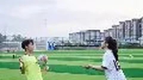 宝威体育 产品 074452 msv