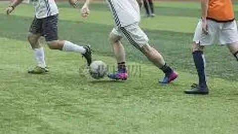 宝威体育 产品 074548 qs5