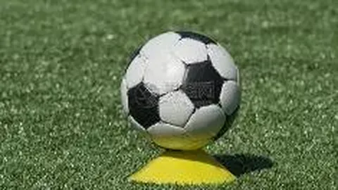 宝威体育 资讯 135047 noj