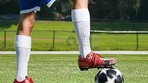 宝威体育 资讯 135211 2l7