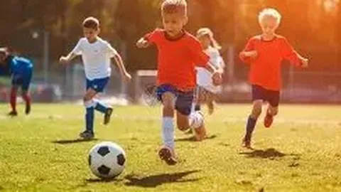 宝威体育 产品 135833 n6m