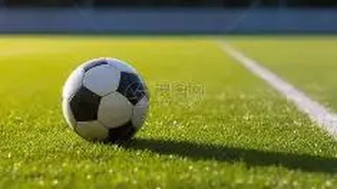 宝威体育 资讯 100722 j13